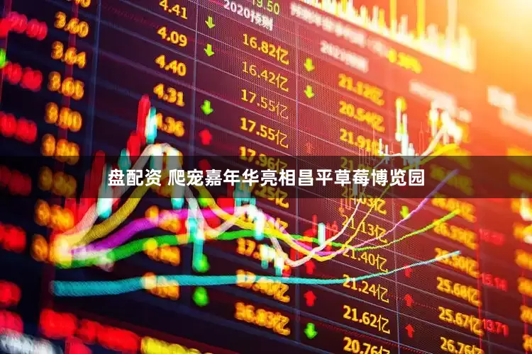 盘配资 爬宠嘉年华亮相昌平草莓博览园