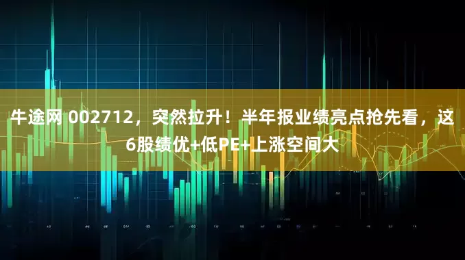牛途网 002712，突然拉升！半年报业绩亮点抢先看，这6股绩优+低PE+上涨空间大